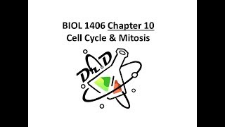 Chapter 10 Cell Cycle and Mitosis [upl. by Lirret]