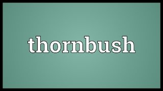 Thornbush Meaning [upl. by Namas]