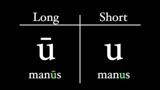 The Latin Alphabet  Vowel Pronunciation [upl. by Nico]