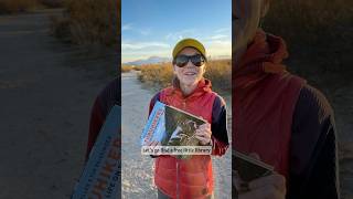 Hiding books in Free Little Libraries while we travel [upl. by Chansoo55]