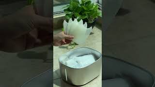 APETDOLA stainless steel pet fountain unboxing video cat pets [upl. by Leslie]