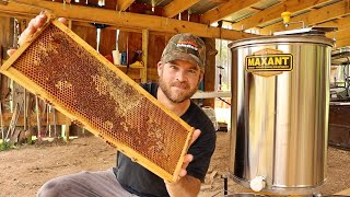 Harvesting 72 Pounds of Pure Honey [upl. by Dorwin]