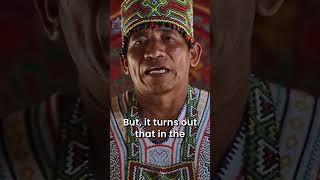 The Lost Language of the Shipibo Survival Story spiritualdocumentary indigenouspeoples shipibo [upl. by Naitsirc]