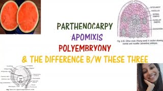 Parthenocarpy Apomixis Polyembryony and difference between these threeReproductionBansalbiology [upl. by Yecad]