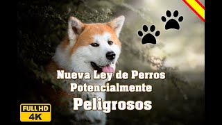 Nueva Ley de Perros Potencialmente Peligrosos en España [upl. by Adliw]