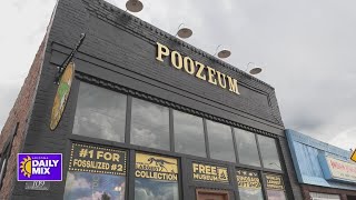 Check out the Poozeum in Williams [upl. by Jala577]