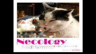 【太鼓の達人】 NECOLOGY 歌詞・音源 [upl. by Furr]