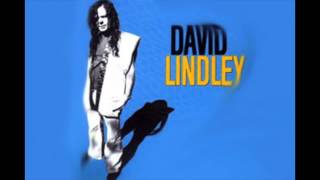 David Lindley Aint No Way Reggae [upl. by Caz966]