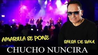 SALSA 2020SALSA DE BAUL AMARILLA SE PONE CHUCHO NUNCIRA 2020EXITOS SALSEROSAMARILLA SE PONE SALSA [upl. by Entsirhc]