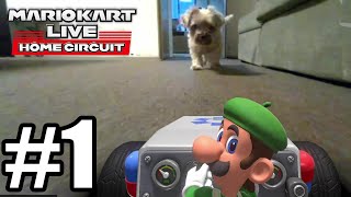 Mario Kart Live Home Circuit Gameplay Walkthrough Part 1 [upl. by Meisel]