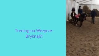 trening na Wezyrze  brykał  151124 r [upl. by Morie]