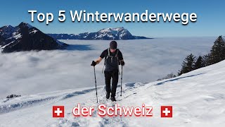 Die 5 schönsten Winterwanderwege der Schweiz [upl. by Barnaby]