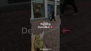 Kolding City in Denmark 🇩🇰denmark travel kolding shortvideo youtubemusic vlog youtubeshorts [upl. by Nadaba435]