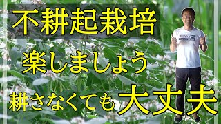 ガーデニング 不耕起栽培「キャリア31年のプロガーデナーもおススメする耕さない花壇の植え方」 [upl. by Baylor]