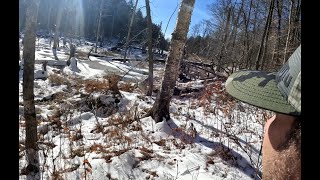 Winter Adirondack Whitetail Deer Hunting 2023 [upl. by Towney]