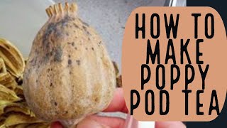 How to Make Poppy Pod Tea [upl. by Anil]