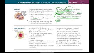 Meninges Dural venous sinuses  Neurology  8  First Aid USMLE in Urdu  Hindi [upl. by Enortna]