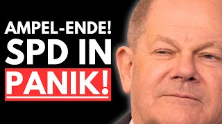 💥AMPELENDE MUSS SCHOLZ VOR GERICHT SPD IM FREIEN FALL💥 [upl. by Nitsa]