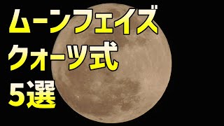 ムーンフェイズはクォーツ式が使いやすいと思って5本選んでみた！ [upl. by Noscire]