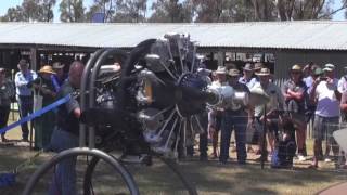 Pratt and Whitney R 1340 Wasp run in crowd [upl. by Ailehs]