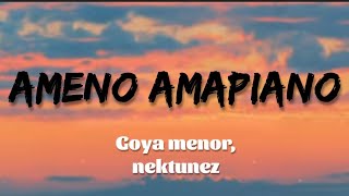 Goya menor amp Nektunez  Ameno amapiano remix Lyrics  traduction Française [upl. by Ymeraj231]