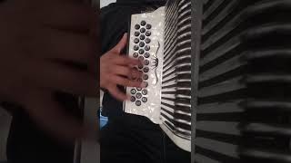 Baraja de oro Ramón Ayala Acordeon [upl. by Aydan]