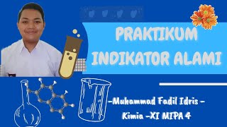 Praktikum Indikator Alami Asam Basa oleh M Fadil Idris kelas XI MIPA 4 [upl. by Sharl]