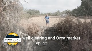 Clearing around the bottom well A trip out to Orca and tidying at the side of the building EP 12 [upl. by Ahsineb99]