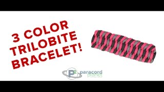 How To Make A 3 Color Trilobite Paracord Bracelet [upl. by Gibbie]