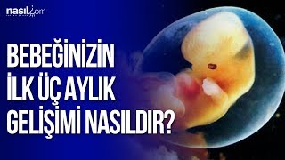 Bebeğinizin İlk Üç Aylık Gelişimi Nasıldır [upl. by Swinton]