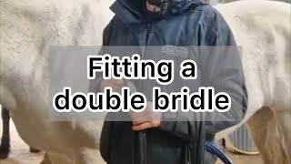 Fitting a double bridle When to use a double bridle Why to use a double bridle [upl. by Anasiul769]