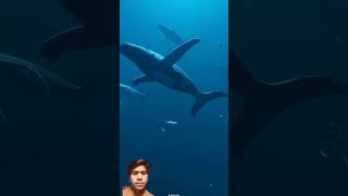 whale ocean shark amazingfacts dolphin ayushtruth funny muhammadajmalrazaqadrifullbayan [upl. by Anatnahs]