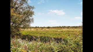 WarnerGray Estate Agents Appledore Kent Country property for sale Stunning rural views [upl. by Aloisia]