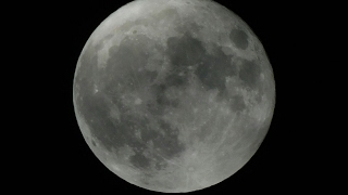 NIKON B500 CAZANDO LA LUNA MOON ZOOM [upl. by Liborio]