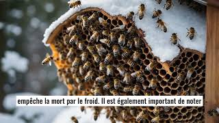 NON les abeilles ne sont pas fainéantes  Voici ce quelles préparent en hiver [upl. by Camella89]