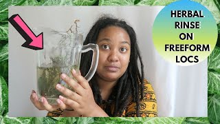 HERBAL RINSE TUTORIAL ON FREEFORM LOCS [upl. by Iridissa]