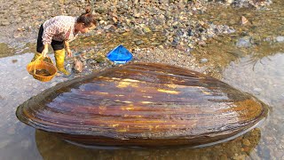 The giant clam guarded by topnotch gemstones and bluestones let me return with a full load [upl. by Schoenberg]