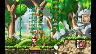 MapleStory M Full Map Skill NO CD TUTORIAL [upl. by Gnot]