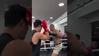 Boxer goes toetotoe with UFC champ Alex Pereira during a South Korea gym session 😳 Boxing MMA [upl. by Graniah]