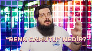 Renk Gamutu nedir [upl. by Jeuz94]