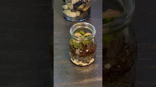 How To Make A Tiny Terrarium terrariummaking terrarium terrariumdesign [upl. by Oisor945]