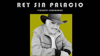 Vicente Fernandez  Rey Sin Palacio Regional Mexicano 2023 [upl. by Cut]