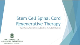 Biomanufacture of stem cell spinal cord repair [upl. by Thurnau]