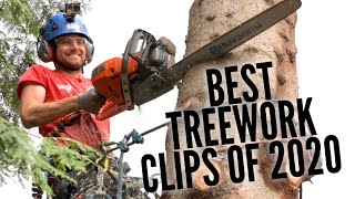 BEST TREEWORK compilation 2020 [upl. by Bergerac]