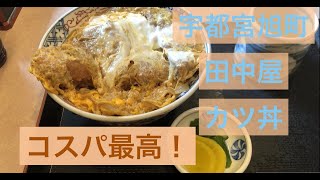 【デカ盛り】宇都宮旭町田中屋のカツ丼が凄かった！ 宇都宮城址公園 グルメデカ盛り蕎麦屋 gourmet [upl. by Offen]