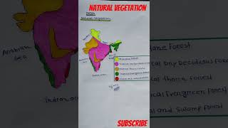 types of Natural vegetation in Indiaclass9 natural vegetation vegetation [upl. by Cooley]