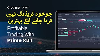 PrimeXBT Review in Hindi Urdu  Best Trading Features of Prime XBT [upl. by Lainad]