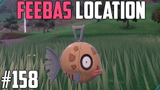 How to Catch Feebas  Pokémon Scarlet amp Violet DLC [upl. by Najtsirk]