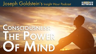 Consciousness The Power of Mind with Joseph Goldstein – Insight Hour Podcast Ep 172 [upl. by Louis]