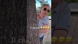 Il ciuccio 🤣🤣🤣🤣PROVERBIFOGGIANIve8up [upl. by Adlecirg]